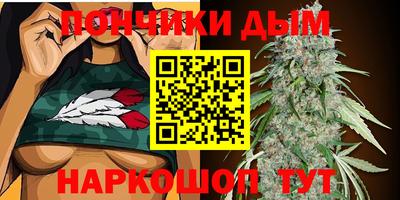 крисы Новокубанск